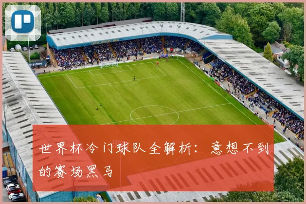 世界杯冷门球队全解析：意想不到的赛场黑马